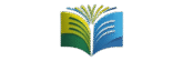 logo new lines